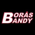 Borås Bandy