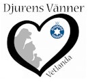 Djurens Vänner, Vetlanda