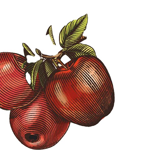 Helgkafé på Ekebyhovs slott söndag 19 november 12:00-16:00