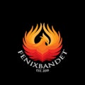 Fenix Bandet  Cancerrehabilitering
