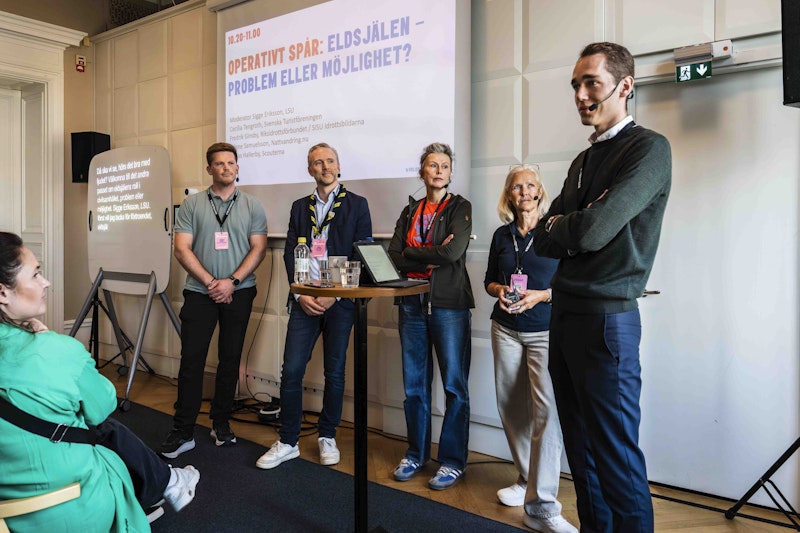 Eldsjälen &#8211; problem eller möjlighet?