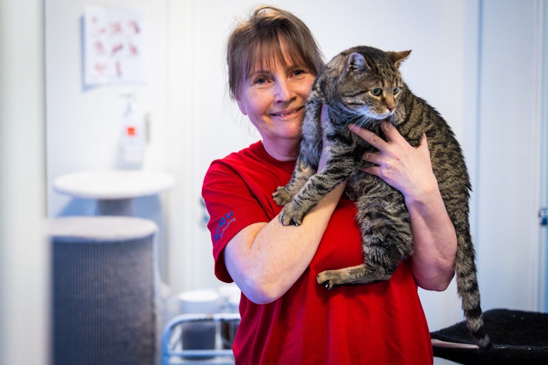 Karin hjälper skygga katter att bli tryggare