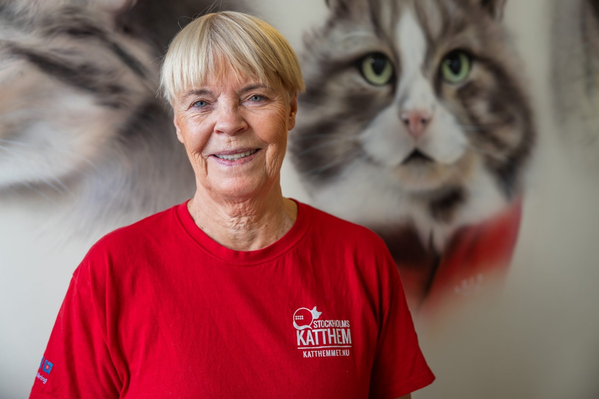 Pia har engagerat sig för katterna i nästan 20 år