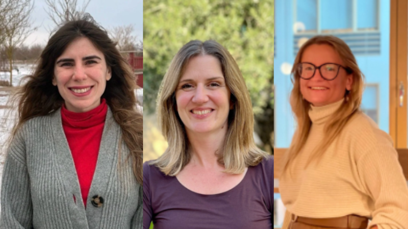 Öppen workshop om hållbart ledarskap för civilsamhället