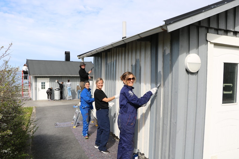 Fyra personer målar ett hus.