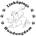 Linköpings hundungdom