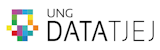Ung DataTjej