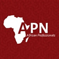 African Professionals Network, Sweden